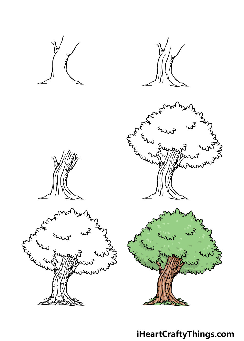 how to draw an oak tree in 6 steps