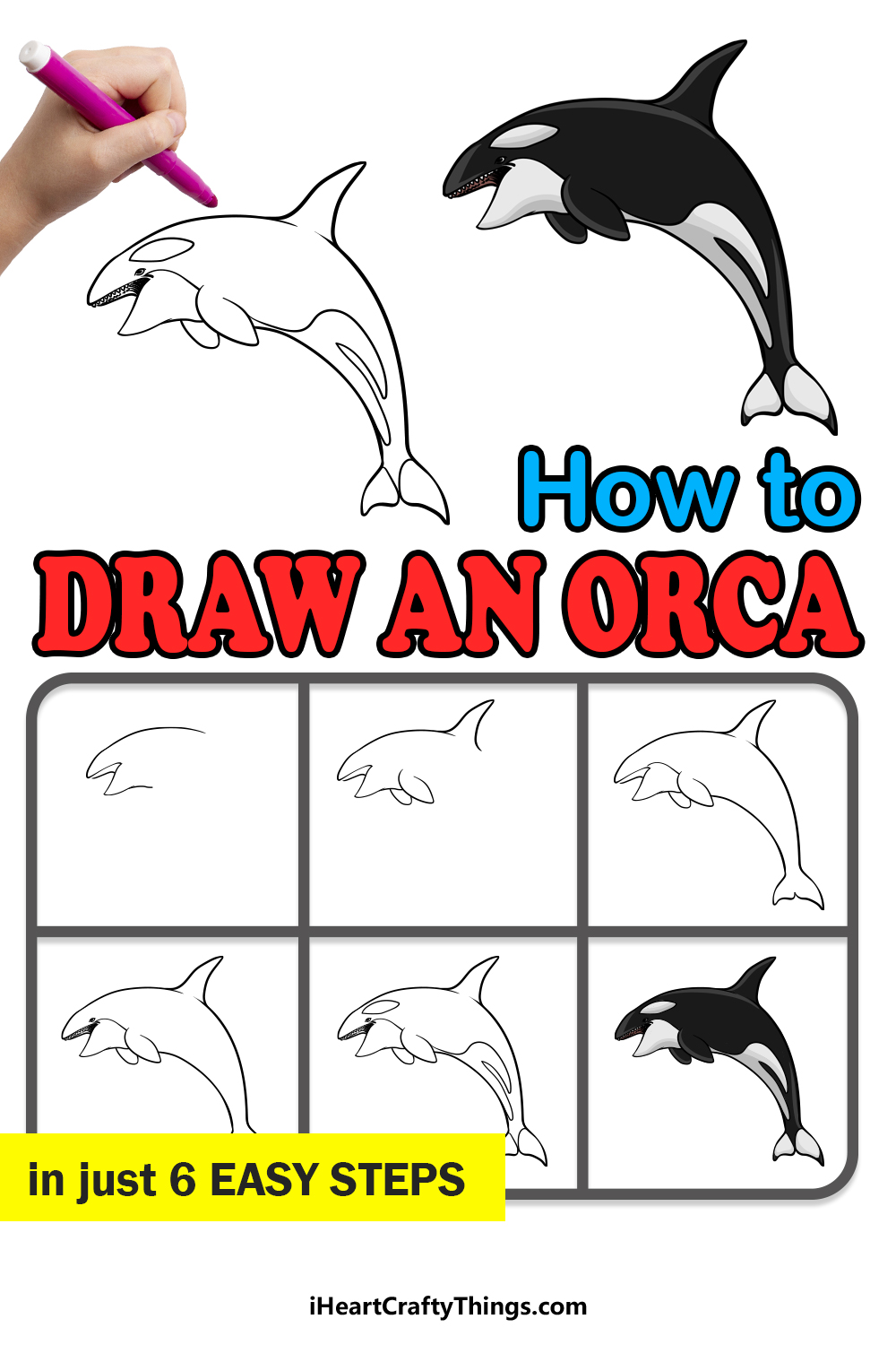 how to draw an orca in 6 easy steps