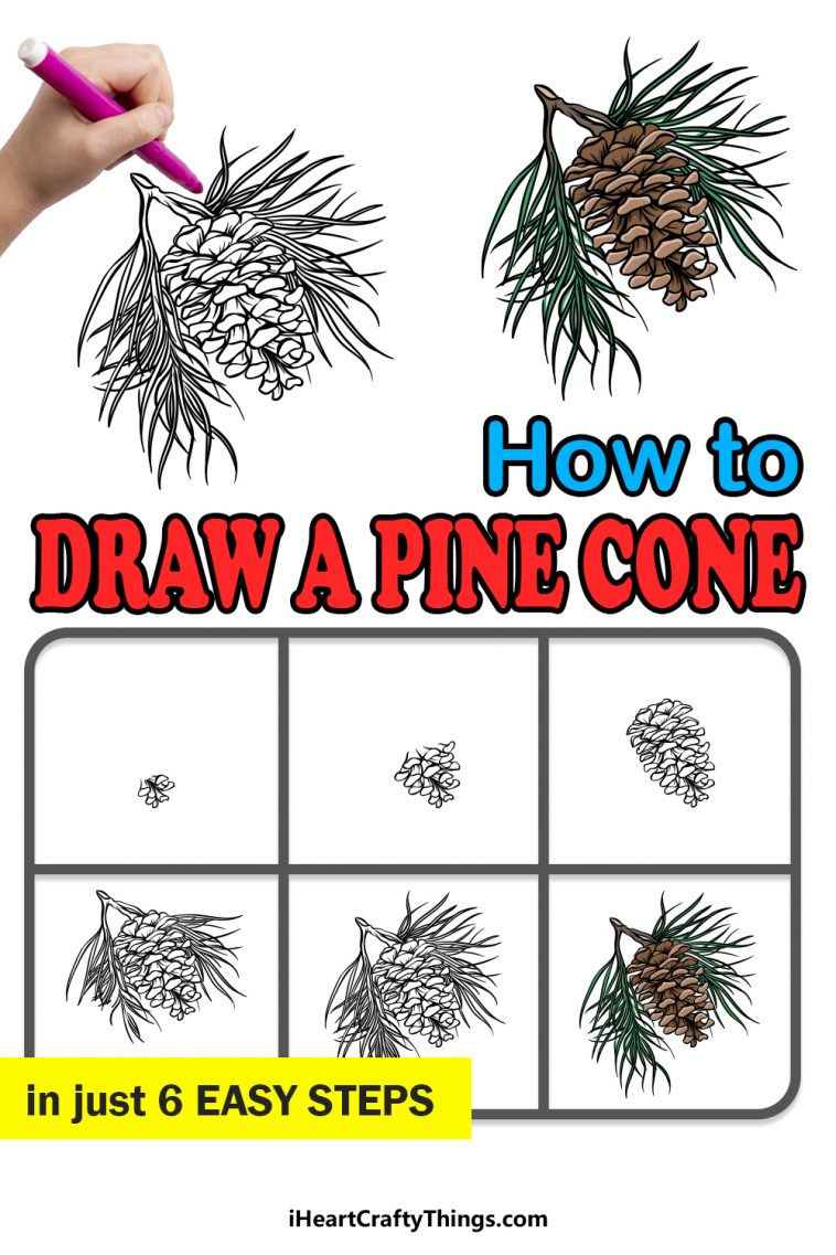 Pinecone Drawing How To Draw A Pinecone Step By Step