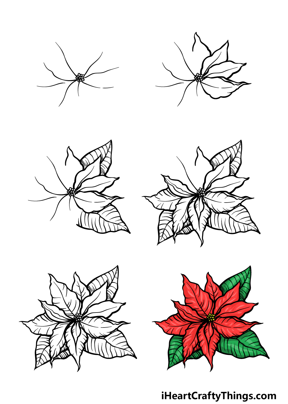 how to draw a poinsettia in 6 steps