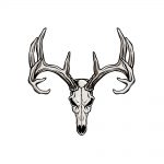 how to draw a deer skull image