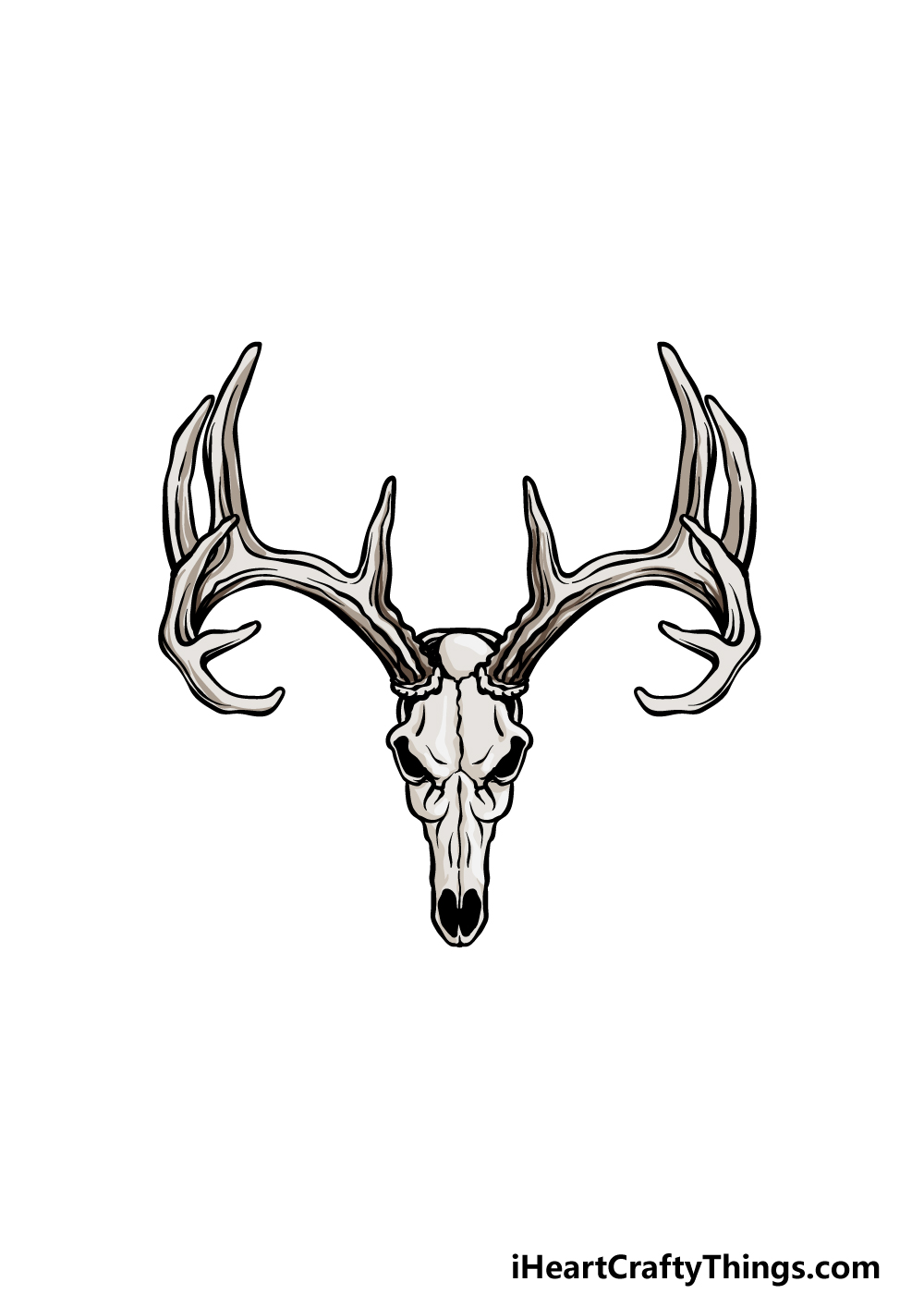 How To Draw A Deer Skull – A Step by Step Guide