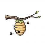 how to draw beehive image