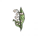 how to draw lily of the valley image