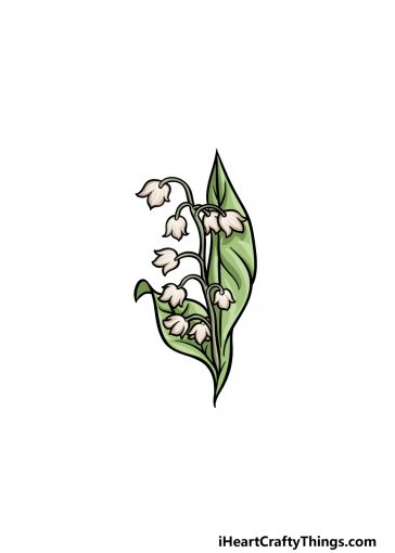 how to draw lily of the valley image