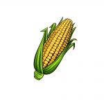 how to draw a corn image