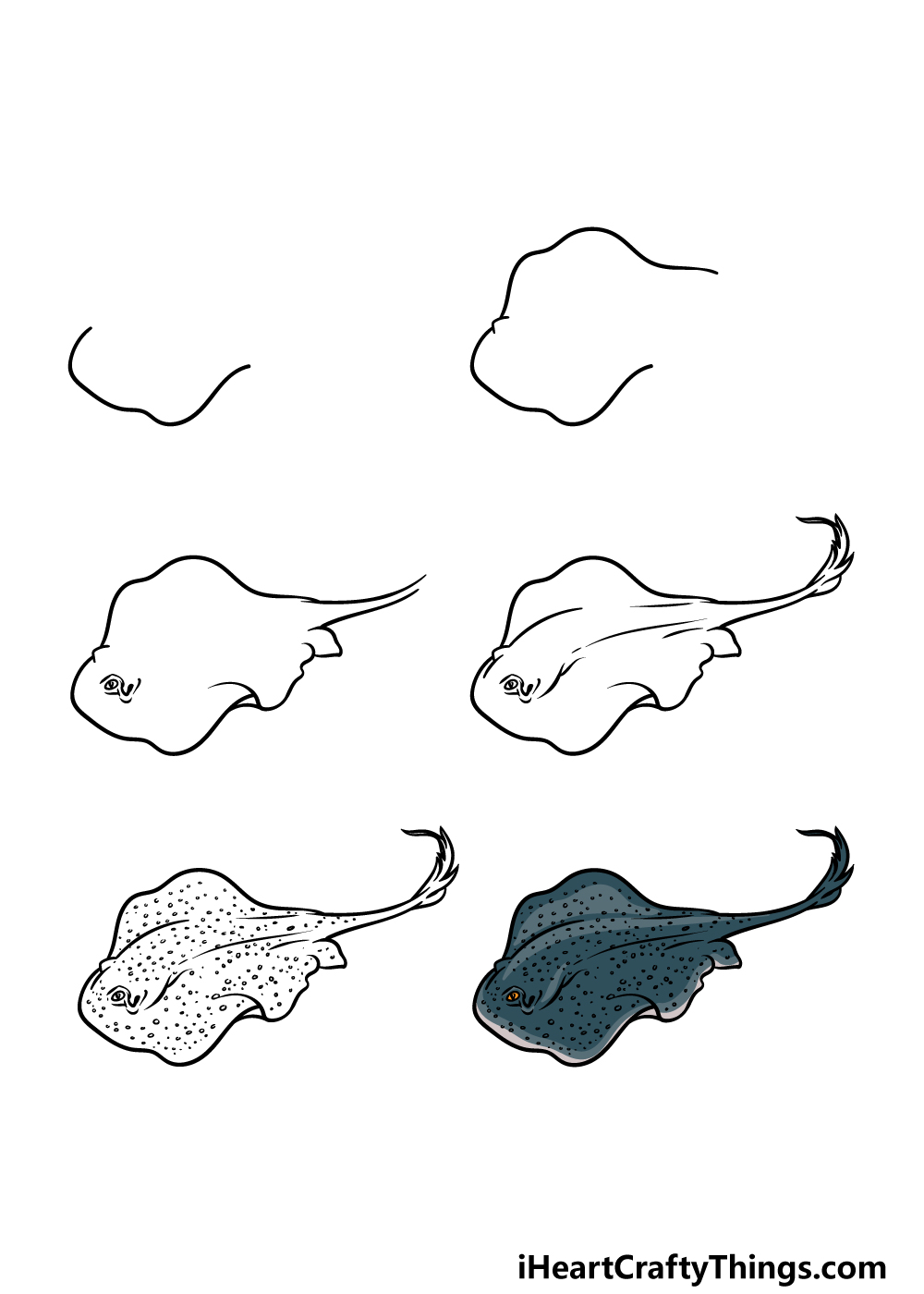 how to draw a stingray in 6 steps