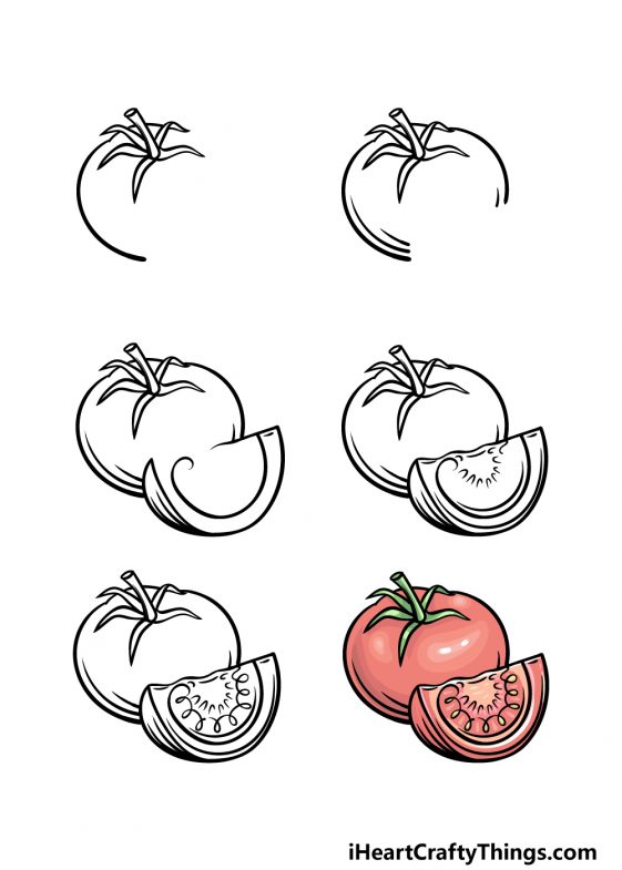 Tomato Drawing How To Draw A Tomato Step By Step