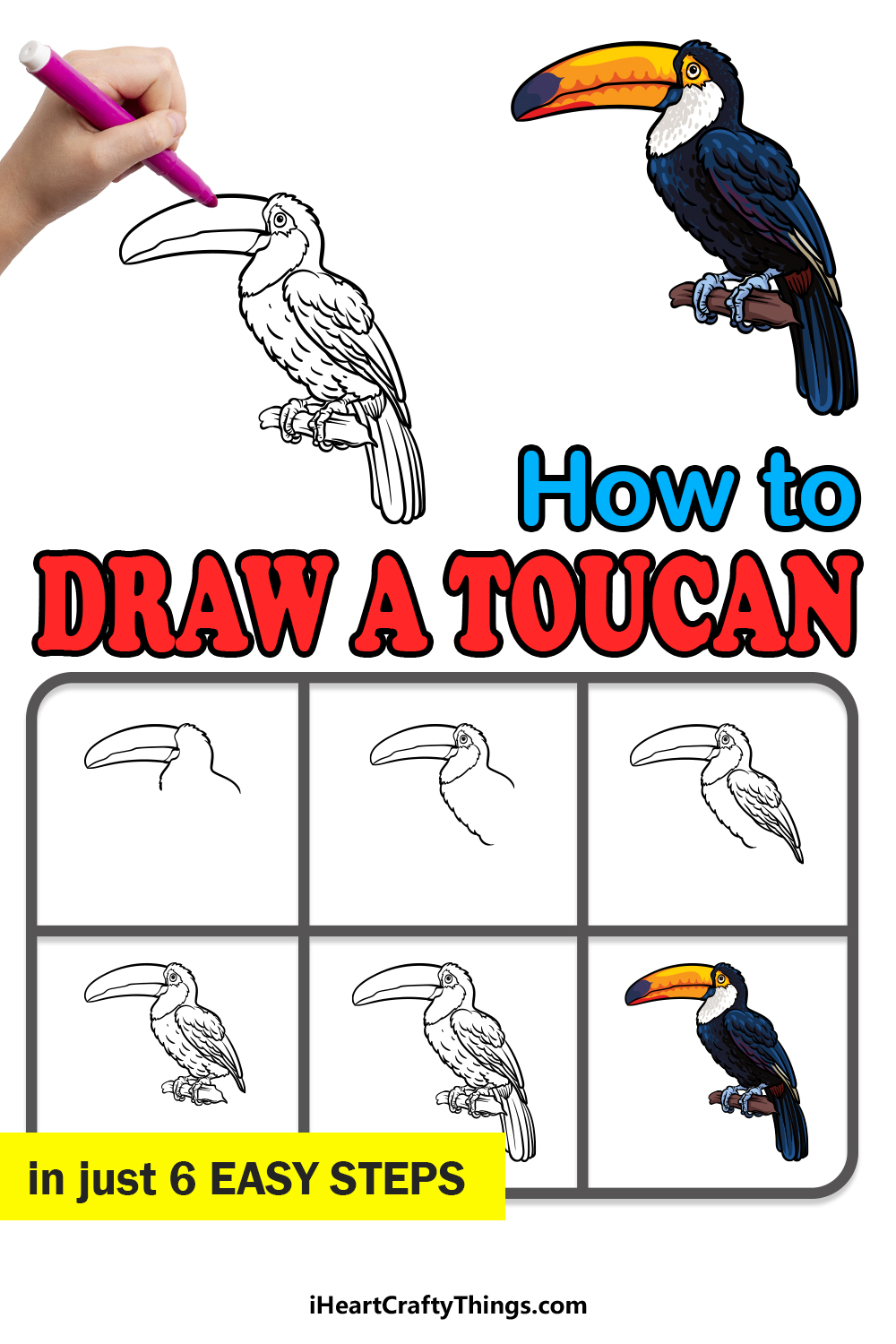 How to Draw a Toucan - drawing lesson by Da Vinci Eye App