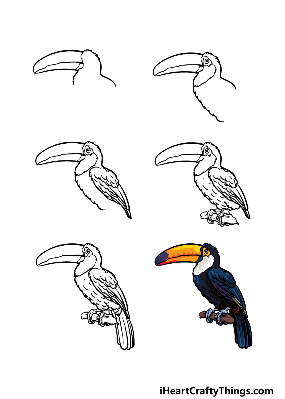 How To Draw A Toucan A Step by Step Guide