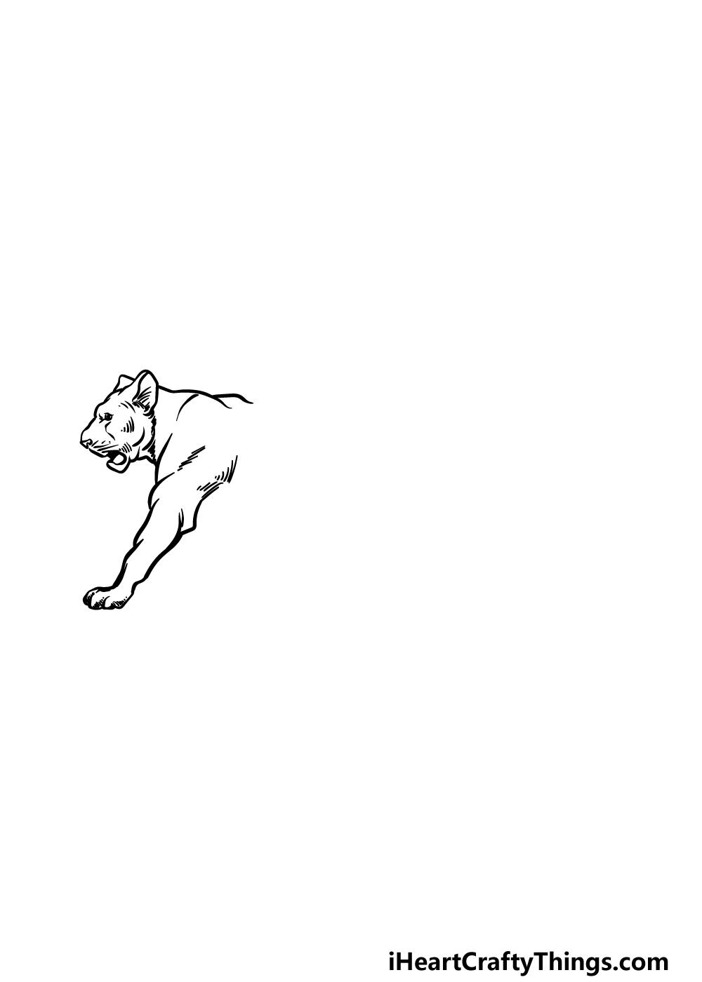 how to draw a Lioness step 1