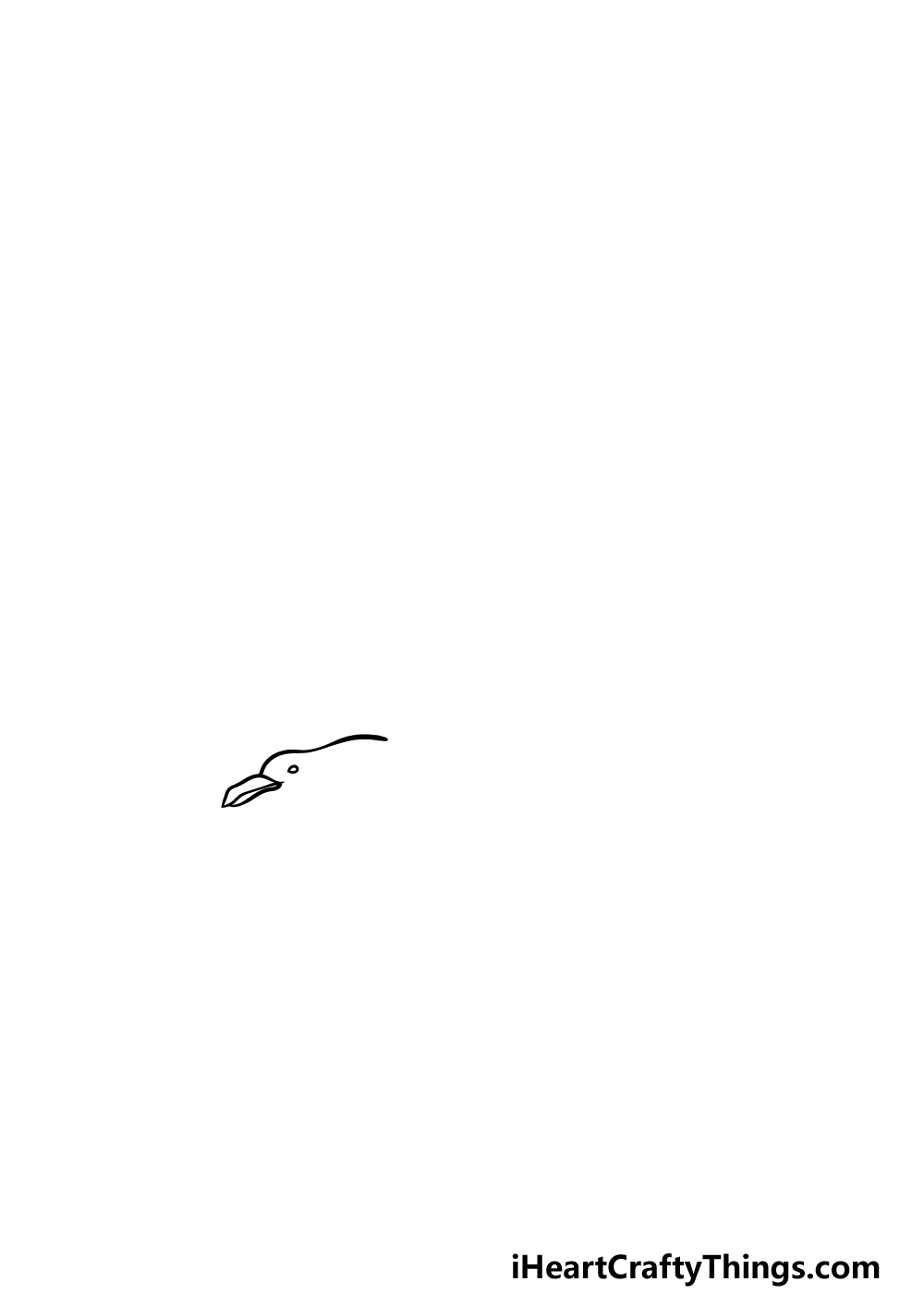 how to draw a Seagull step 1