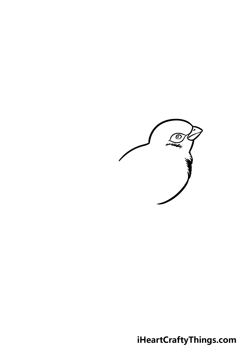 how to draw a sparrow step 1