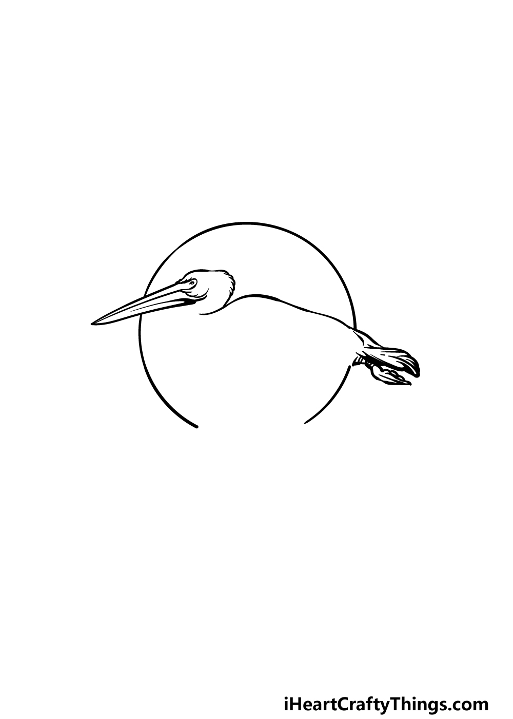how to draw a pelican step 1