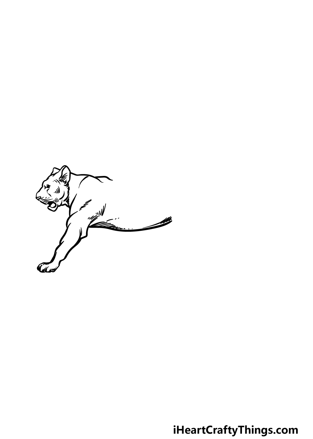 how to draw a Lioness step 2