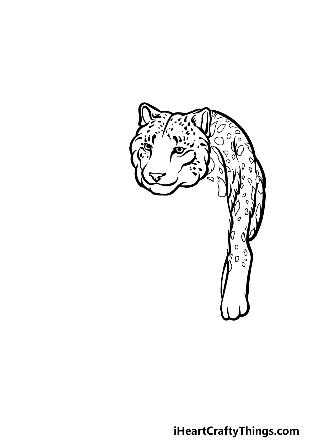 how to draw a snow leopard step 2