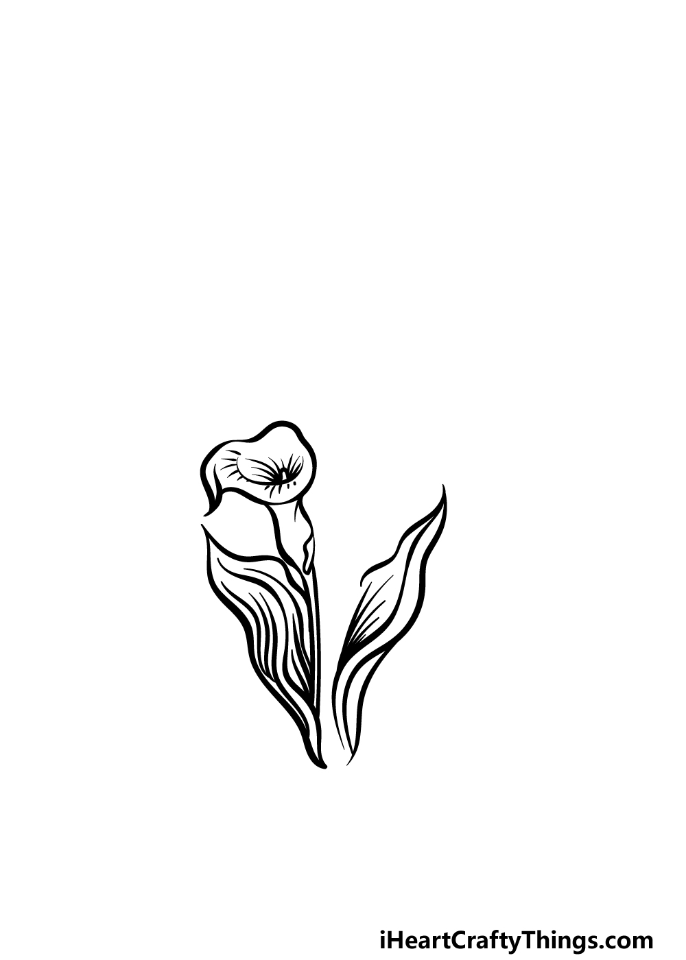 how to draw a Calla Lily step 2