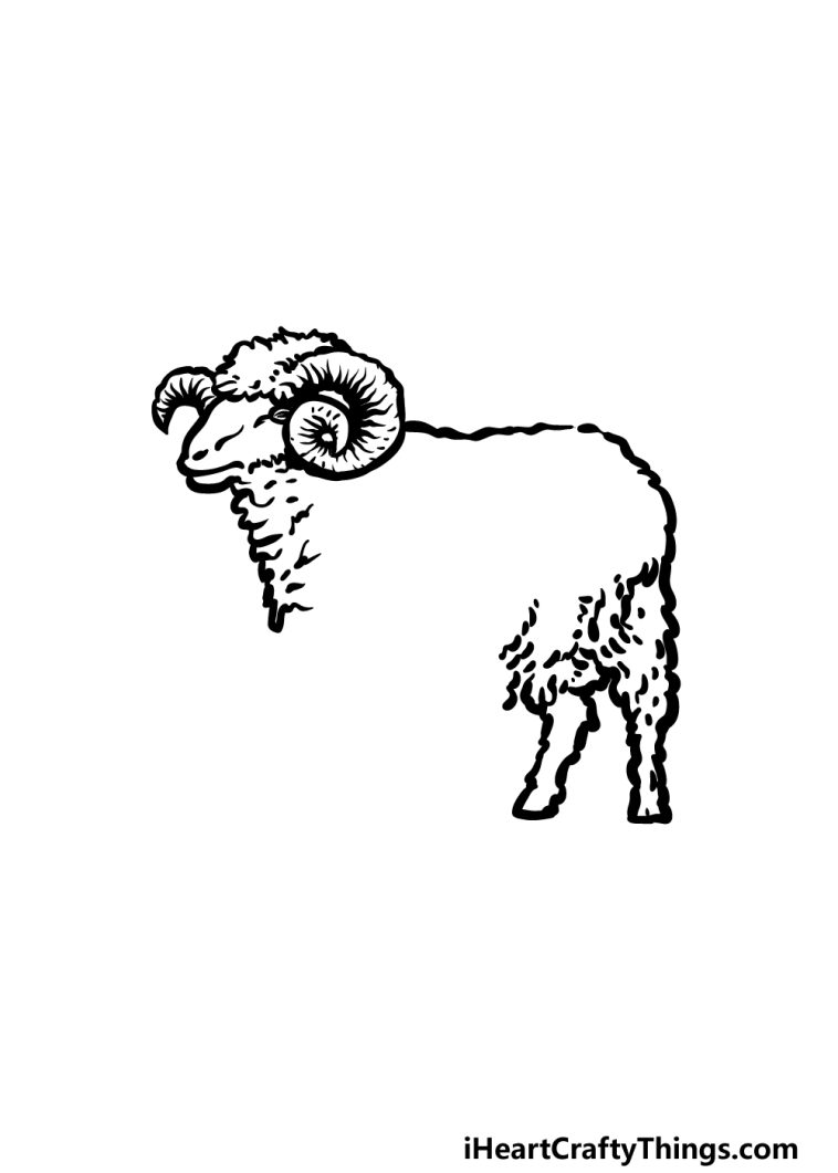 Ram Drawing - How To Draw A Ram Step By Step