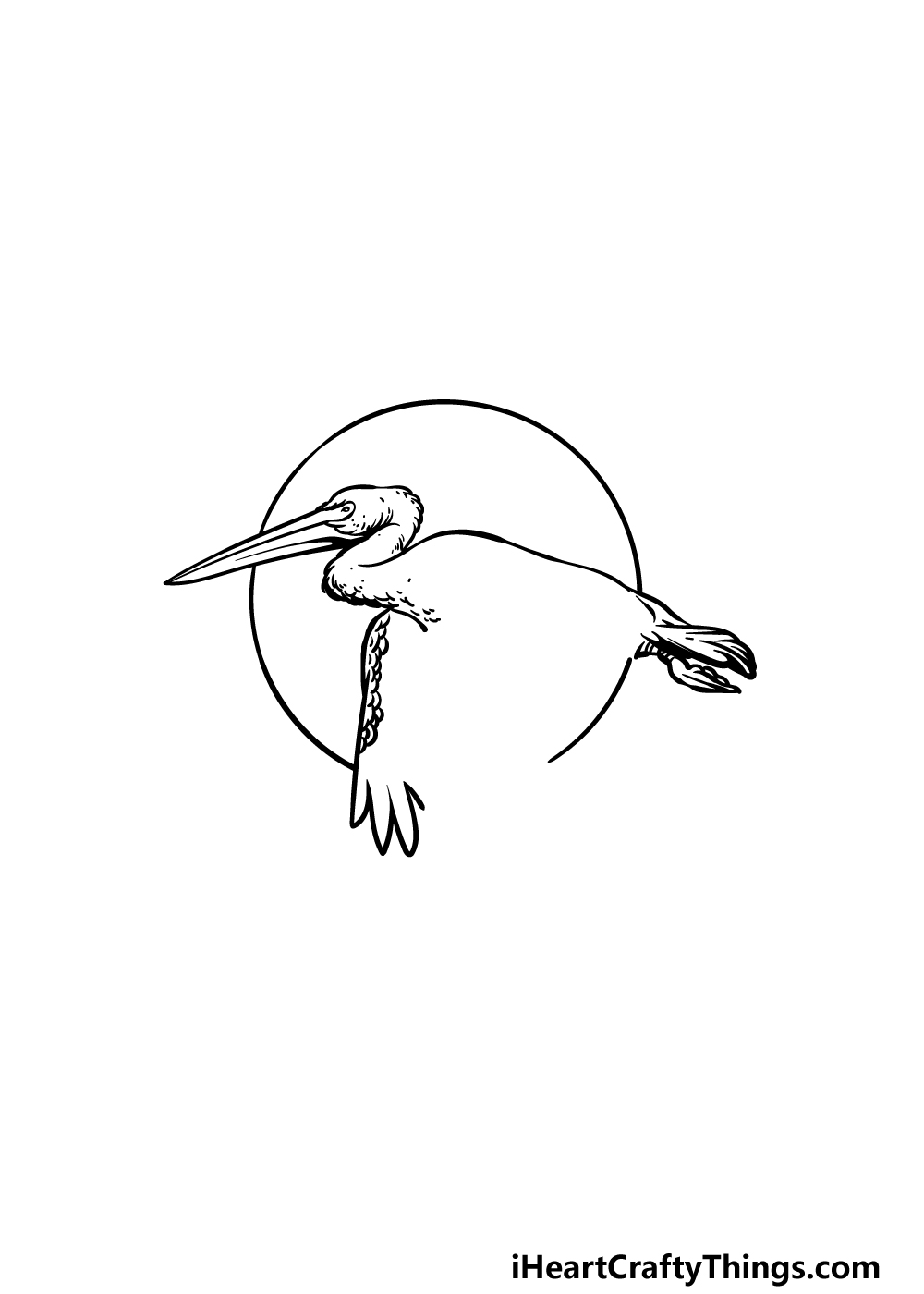 how to draw a pelican step 2