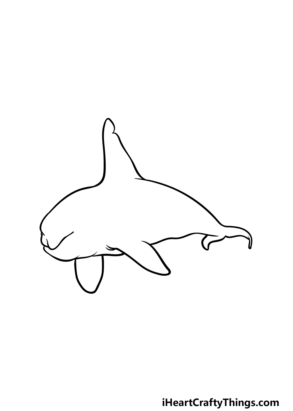 how to draw a killer whale step 2