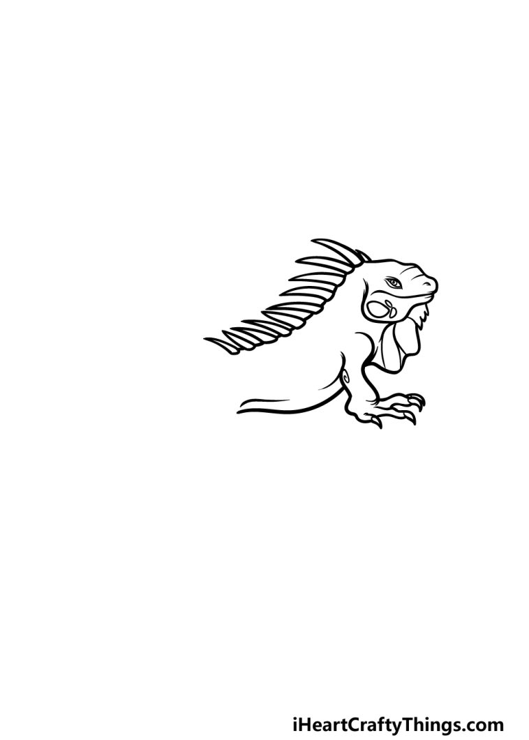 Iguana Drawing How To Draw An Iguana Step By Step