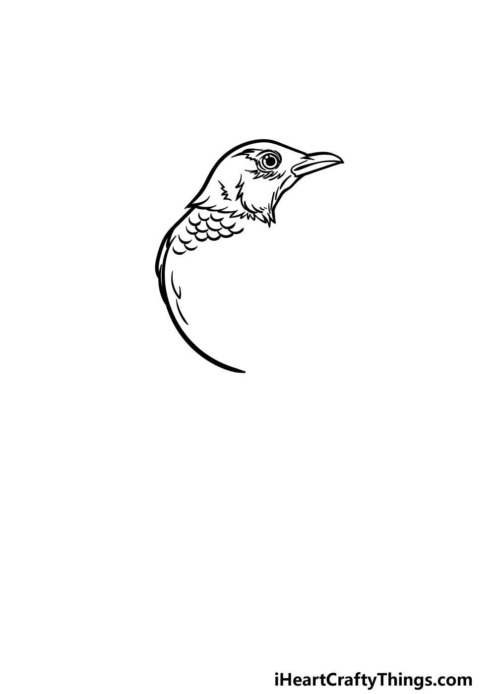 how to draw a Robin step 2
