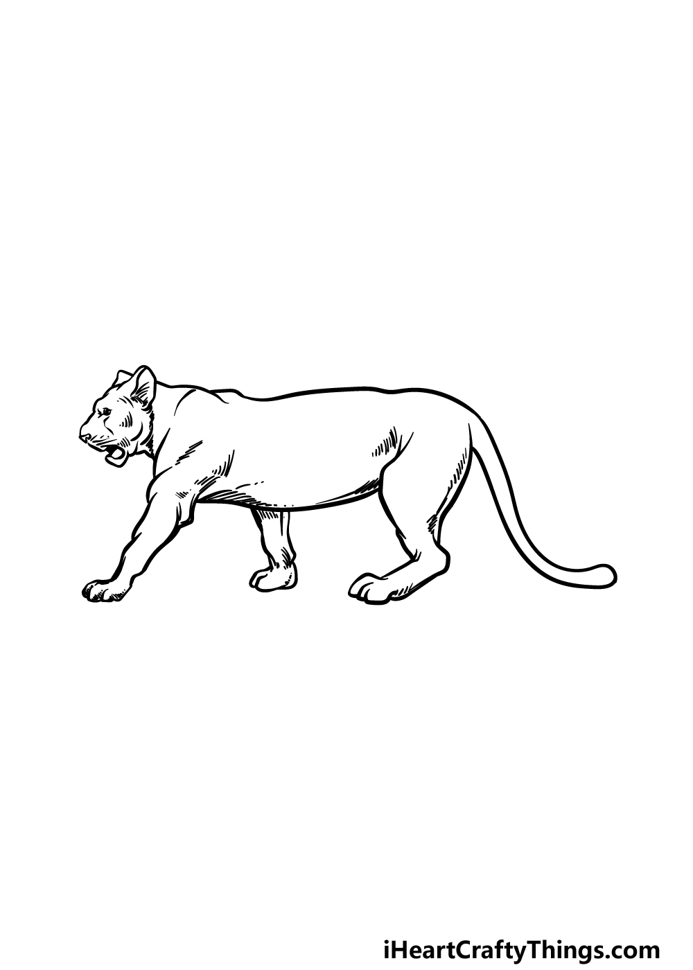 how to draw a Lioness step 3