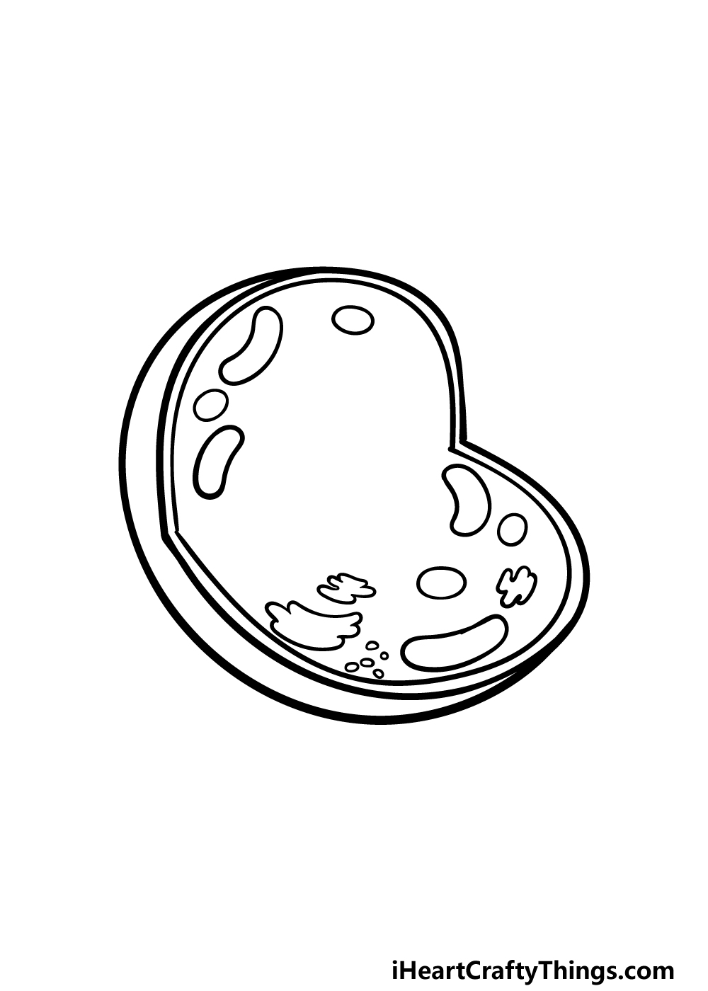 how to draw an animal cell step 3