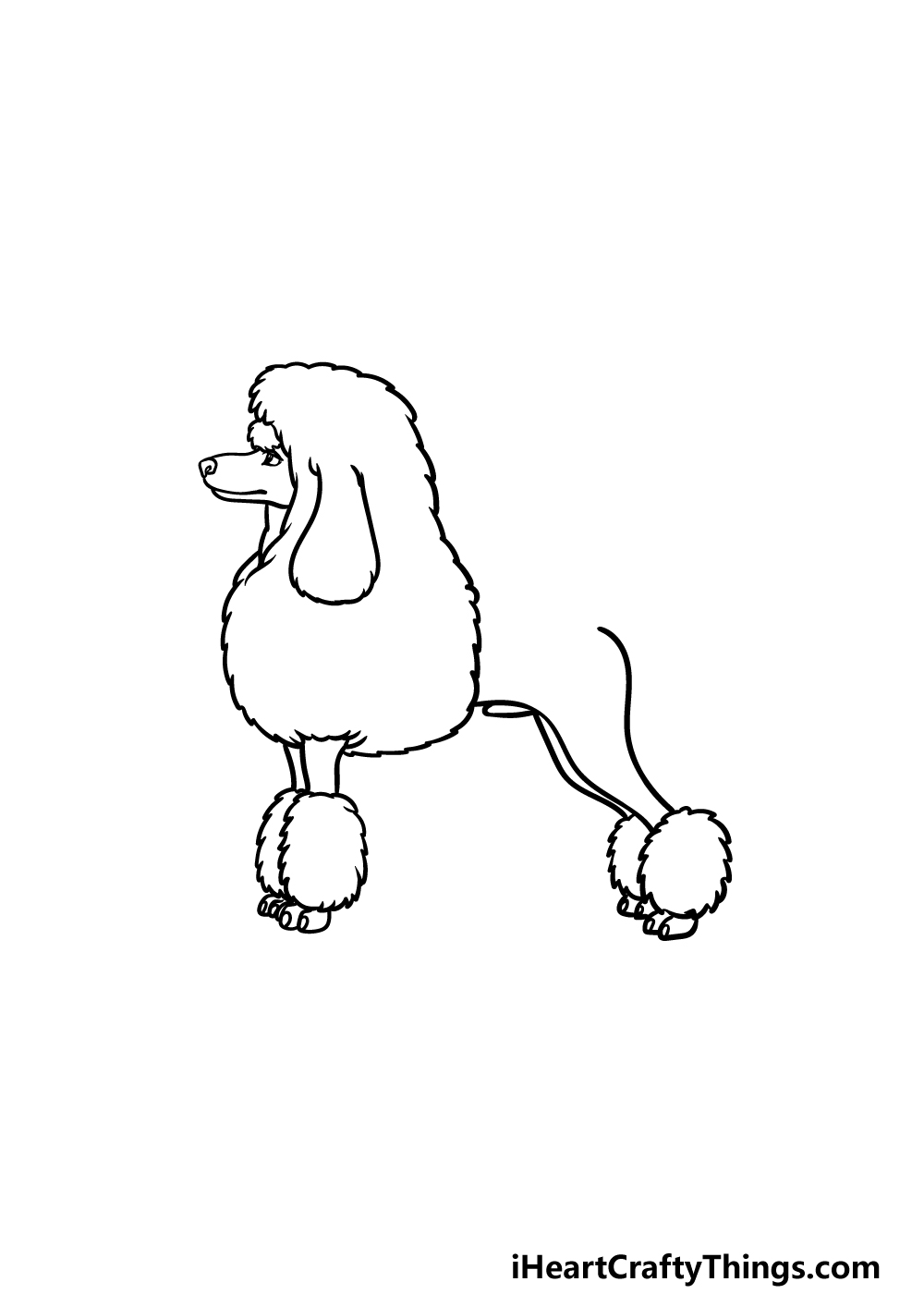 how to draw a Poodle step 3