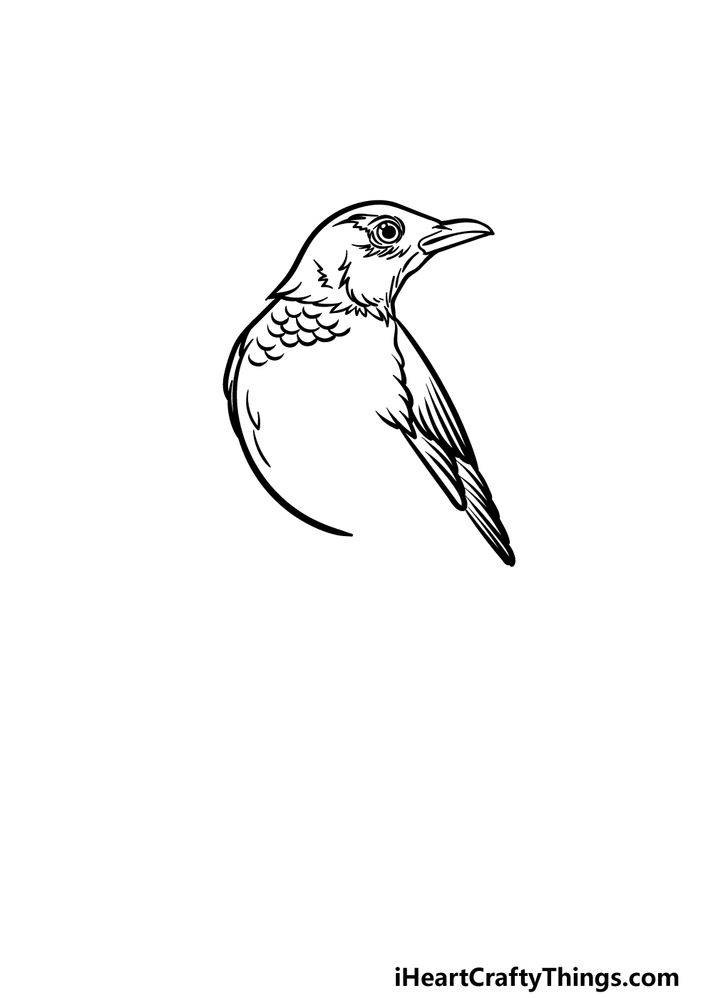 how to draw a Robin step 3
