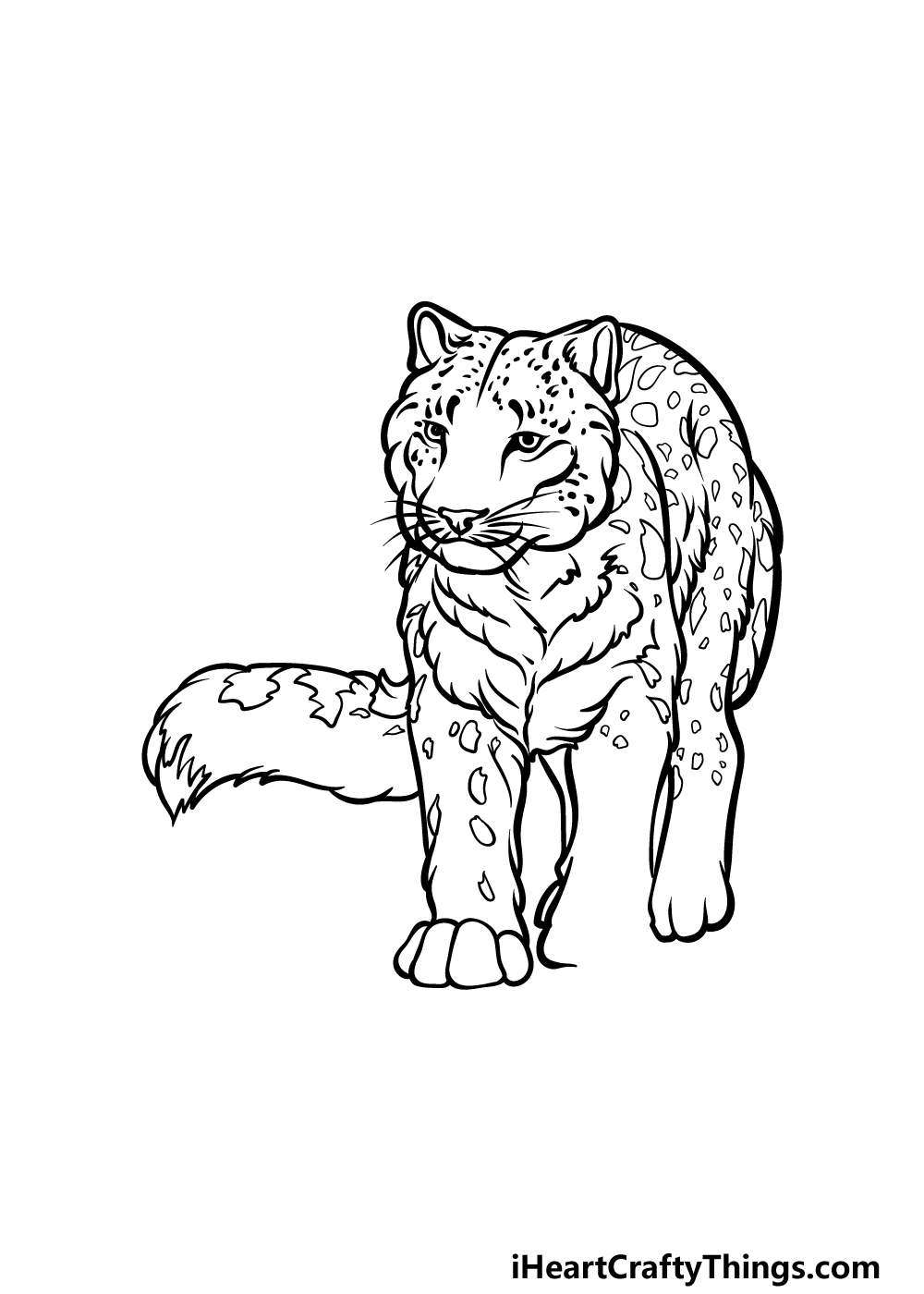 how to draw a snow leopard step 4