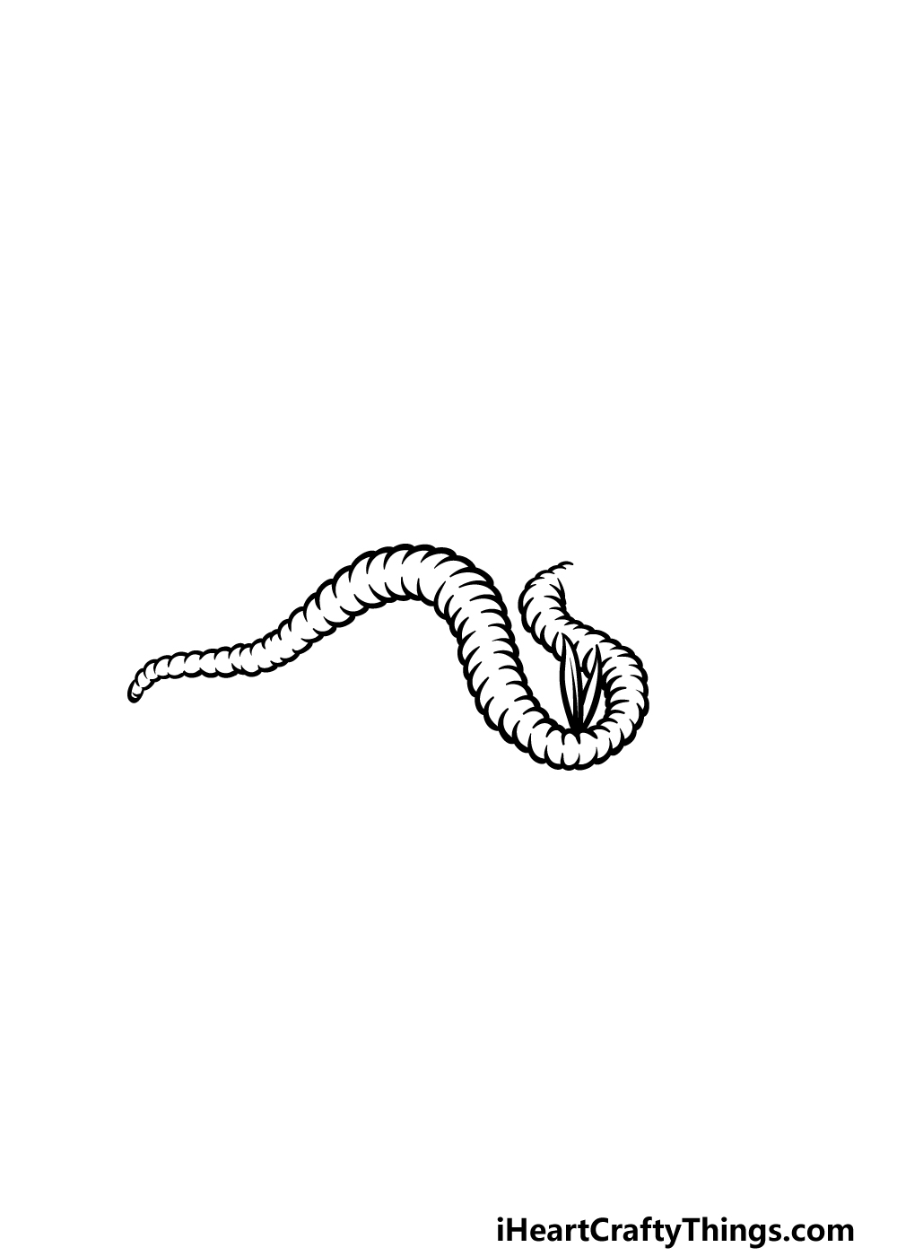 how to draw a worm step 4