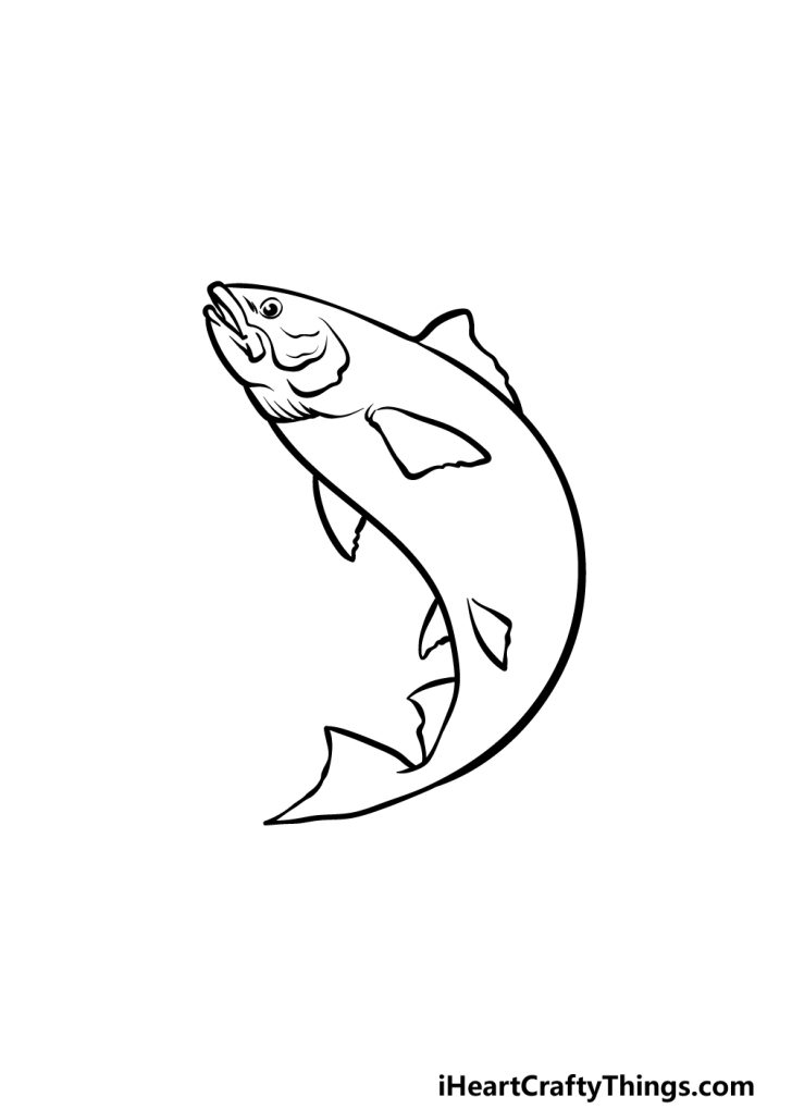 Salmon Drawing - How To Draw A Salmon Step By Step