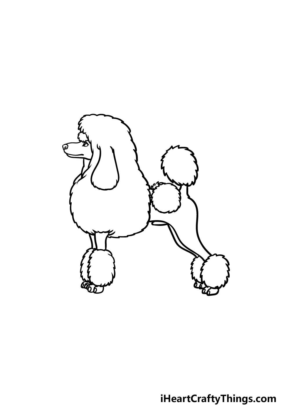 how to draw a Poodle step 4