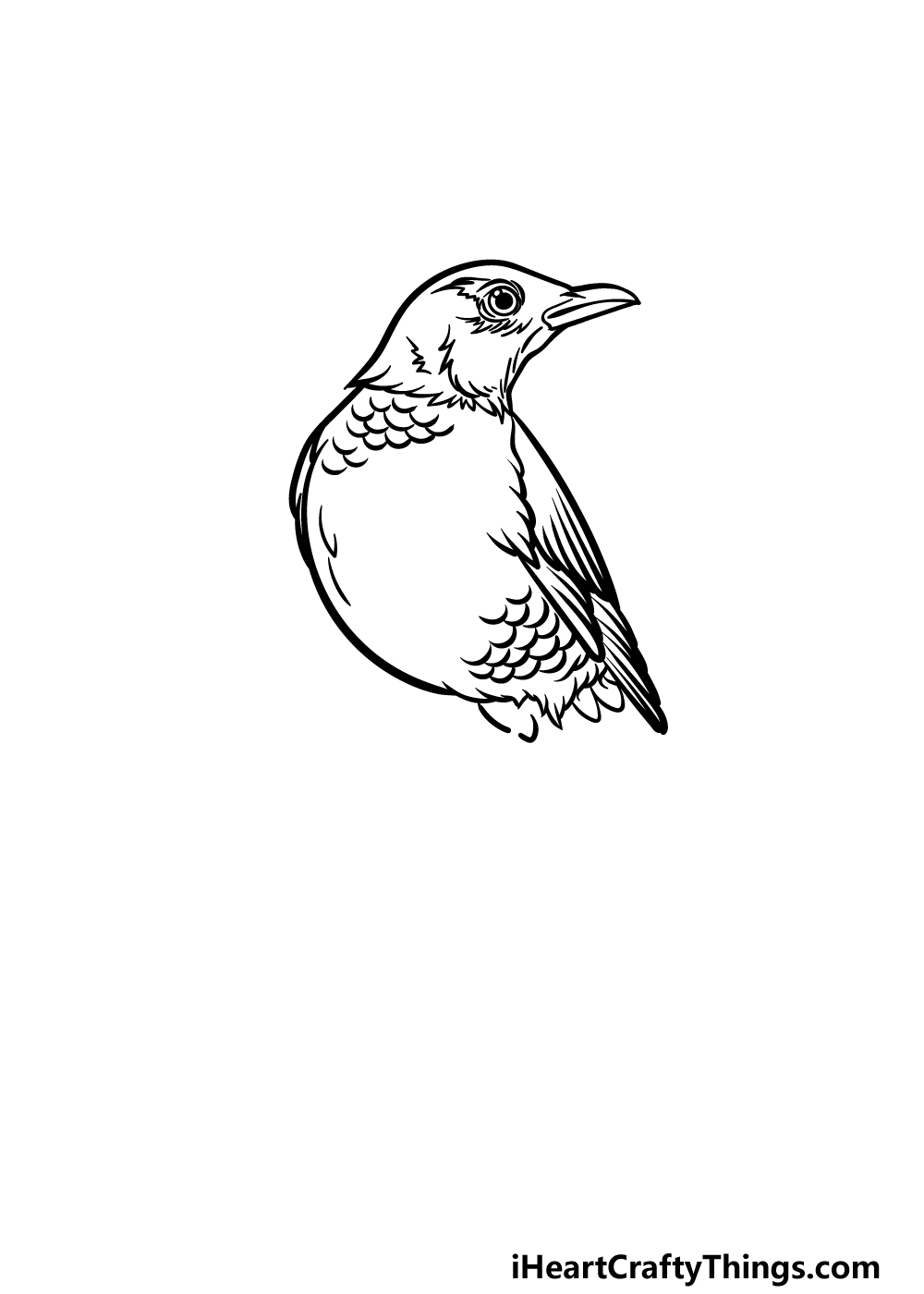 how to draw a Robin step 4