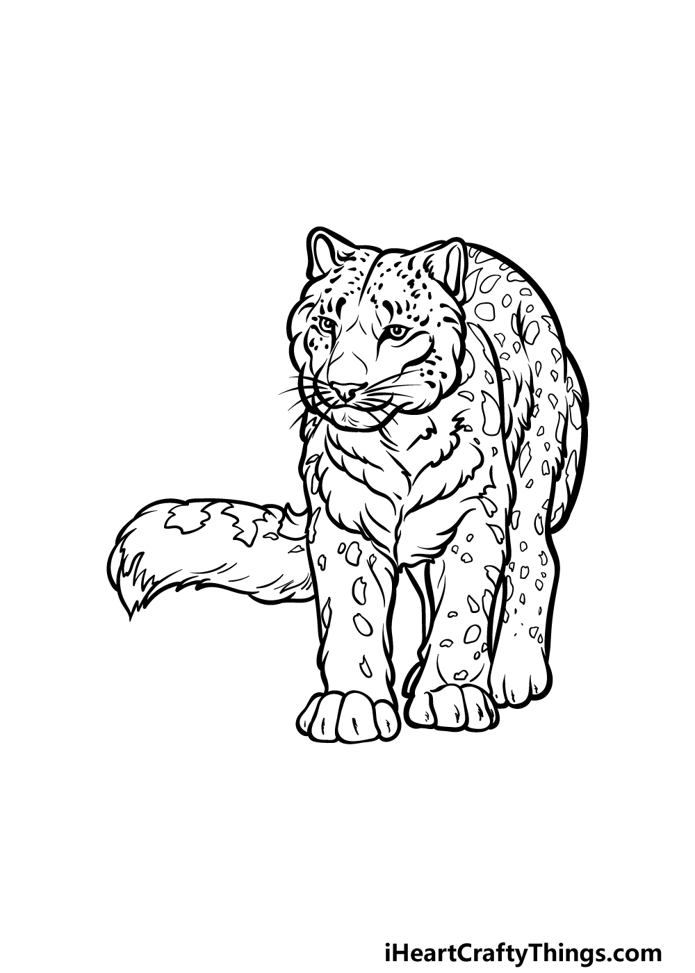 how to draw a snow leopard step 5