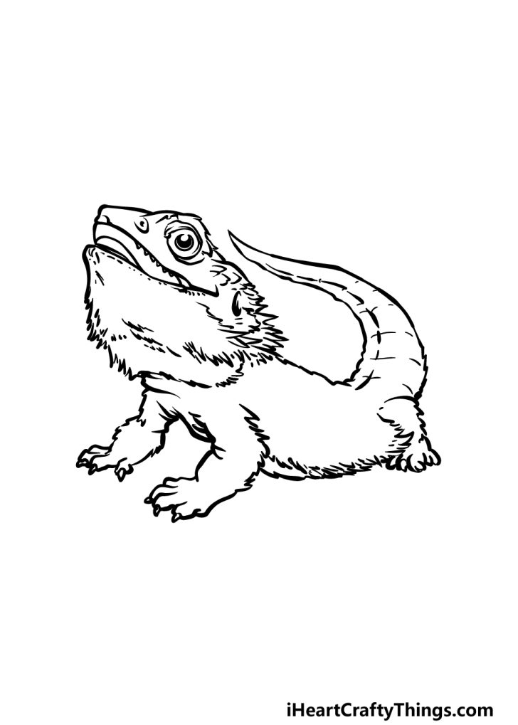 Bearded Dragon Drawing How To Draw A Bearded Dragon Step By Step