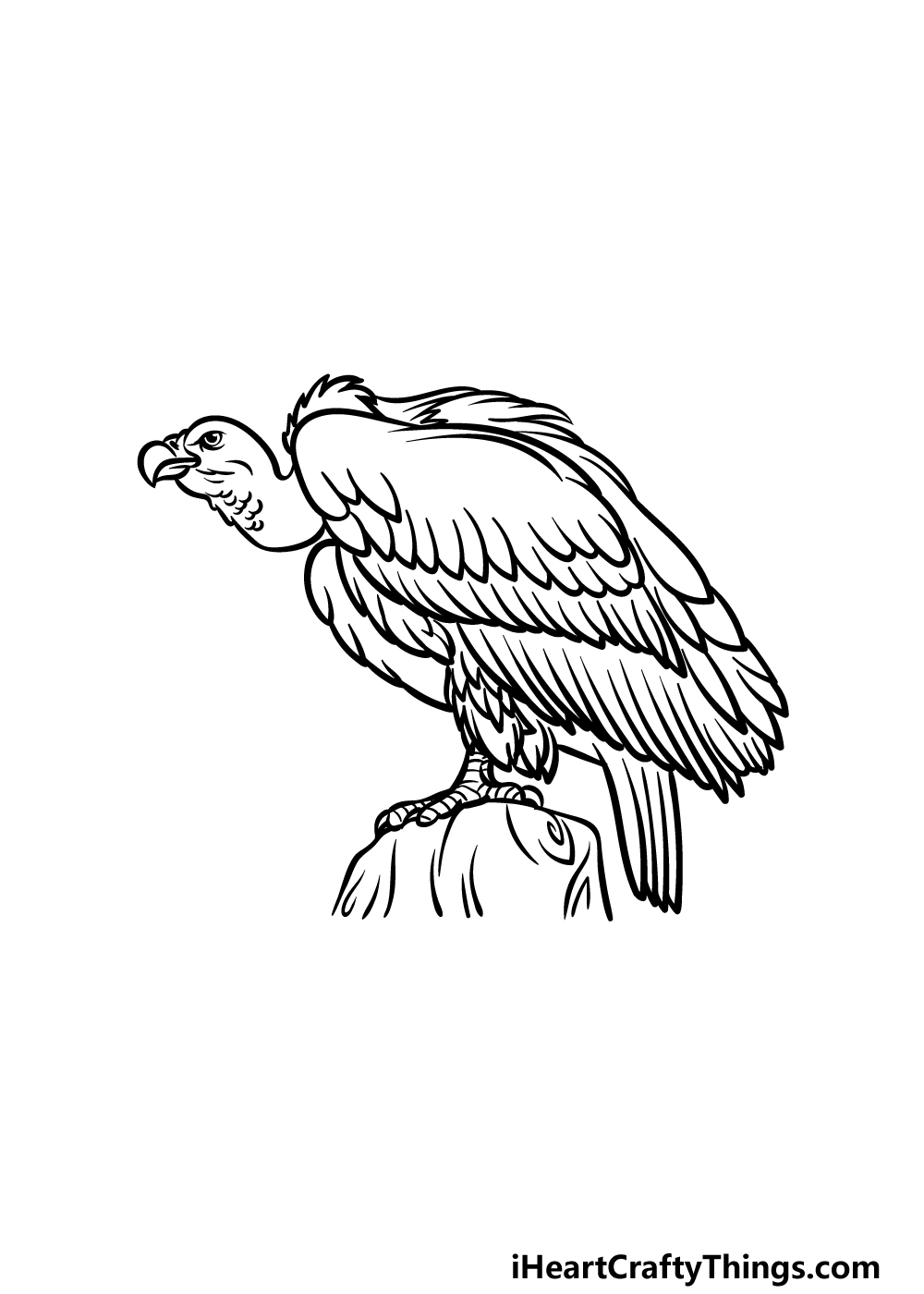 how to draw a Vulture step 5