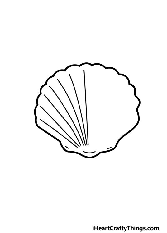 Shell Drawing - How To Draw A Shell Step By Step