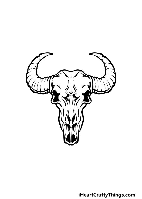 Bull Skull Drawing How To Draw A Bull Skull Step By Step