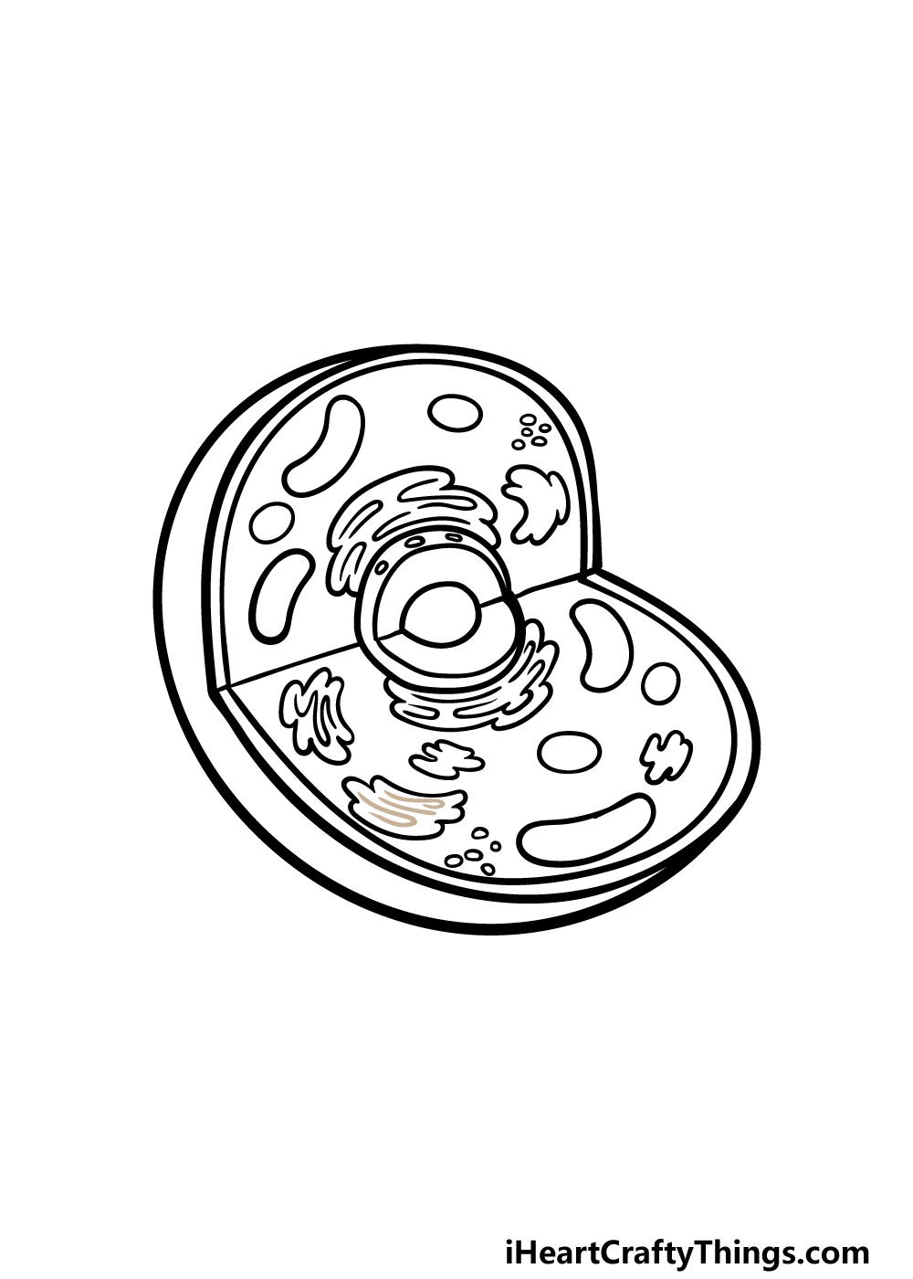 Animal Cell Drawing - How To Draw An Animal Cell Step By Step