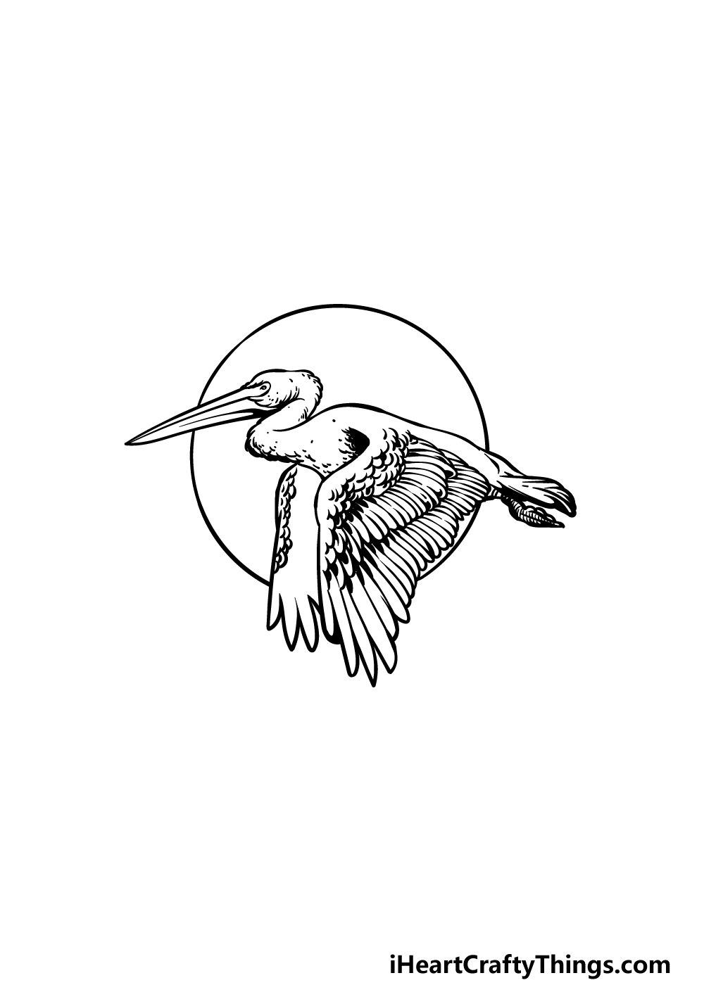 how to draw a pelican step 5