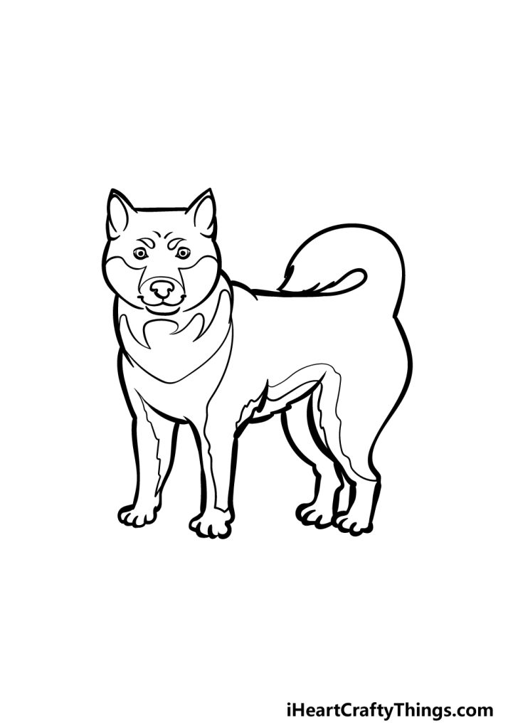 Shiba Inu Drawing - How To Draw A Shiba Inu Step By Step