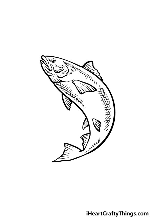 Salmon Drawing - How To Draw A Salmon Step By Step