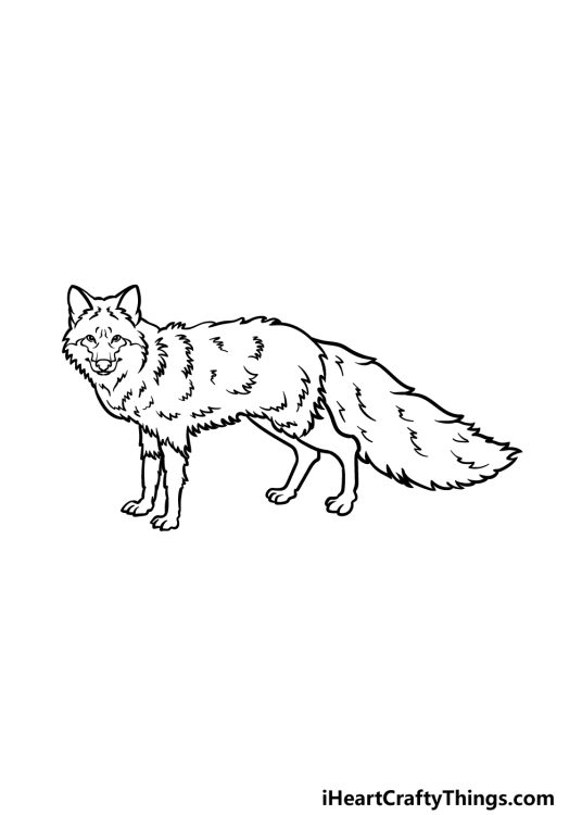 Red Fox Drawing - How To Draw A Red Fox Step By Step