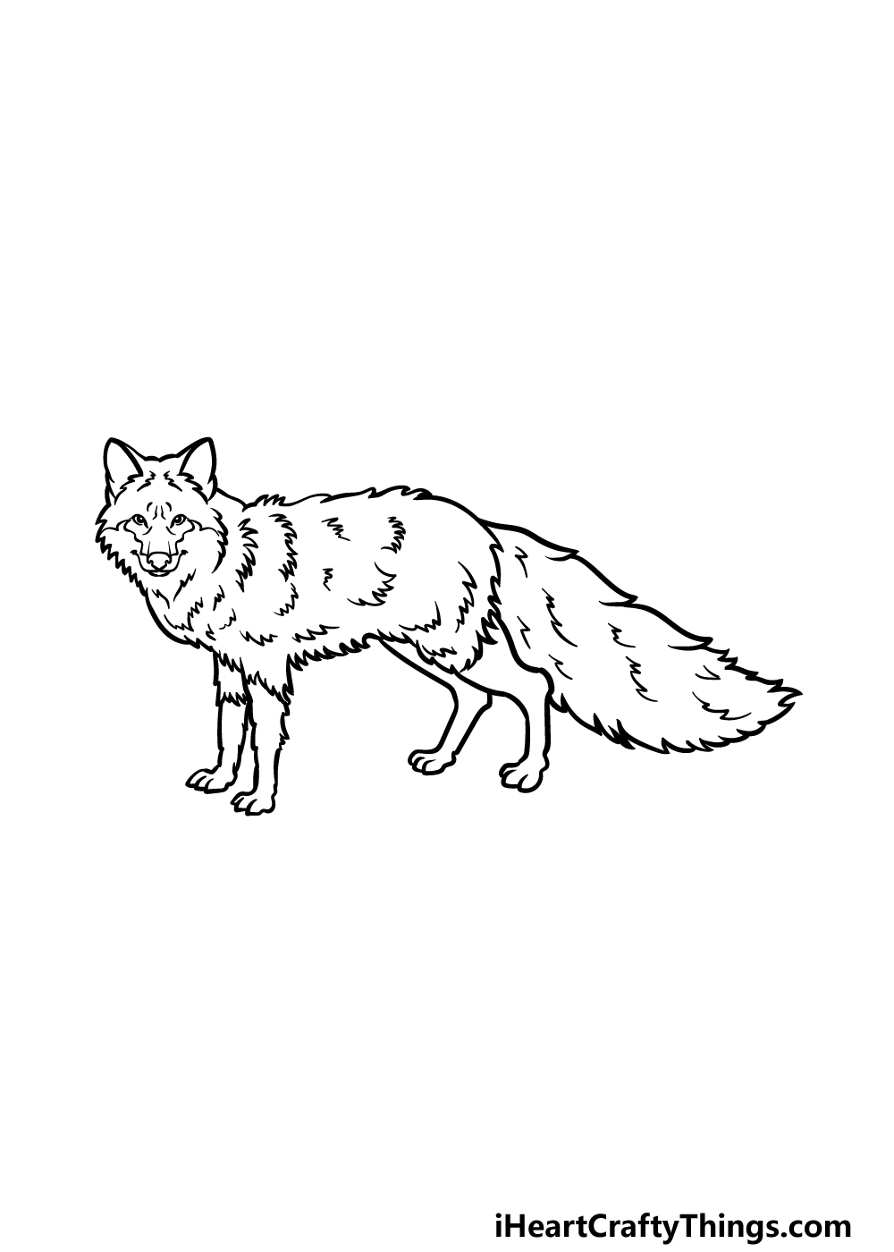 how to draw a red fox step 5