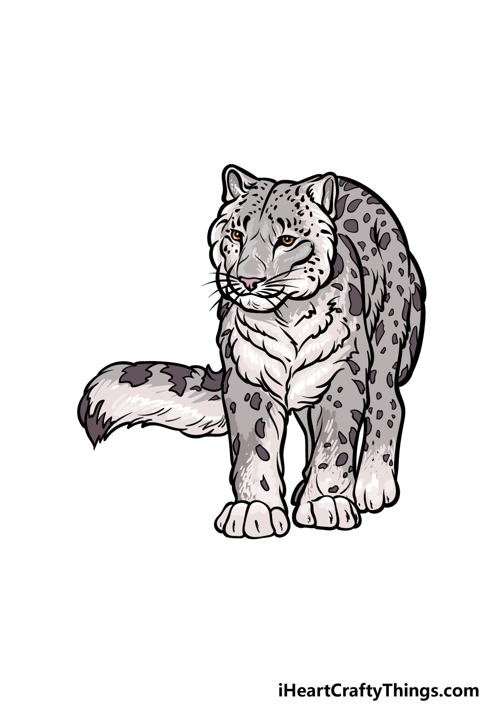 how to draw a snow leopard step 6