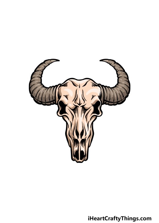 Bull Skull Drawing How To Draw A Bull Skull Step By Step