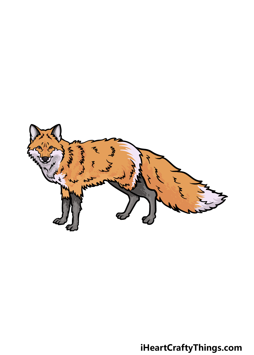 how to draw a red fox step 6