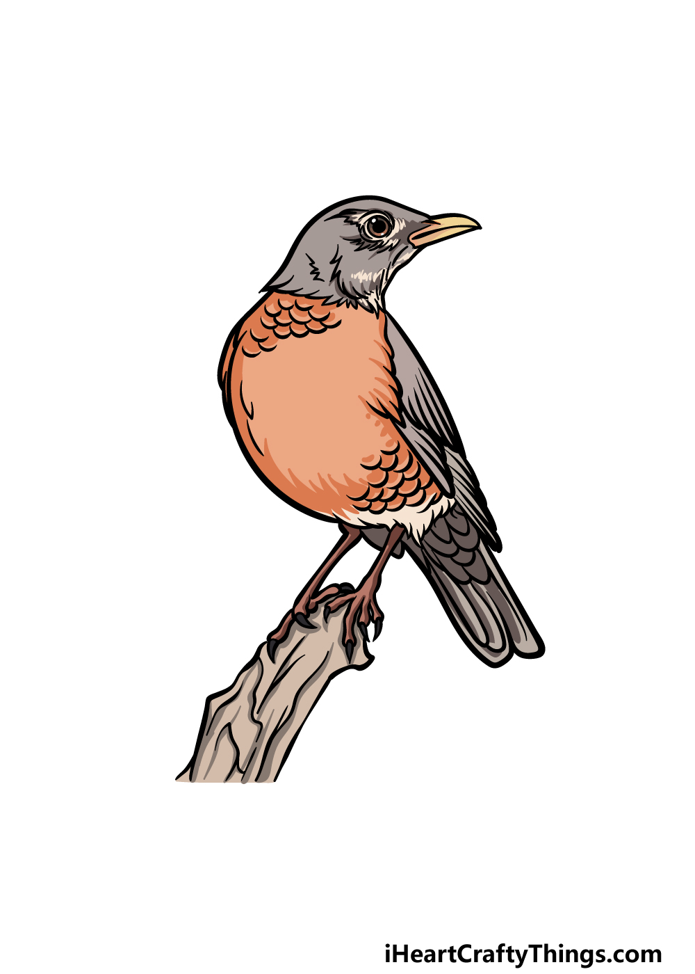 how to draw a Robin step 7